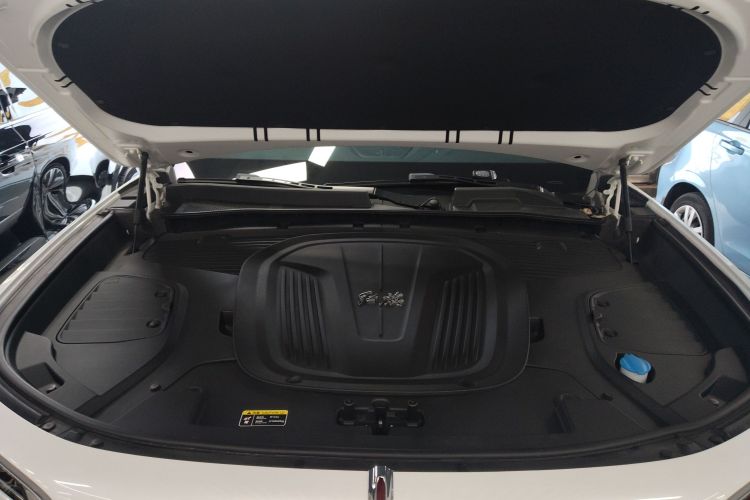 HongQi E-HS9 2023 #20 HongQi E-HS9 2023 car image #20