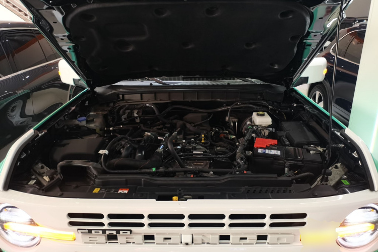 福特 福特烈马 2025 #20 福特 福特烈马 2025 汽车图片 #20