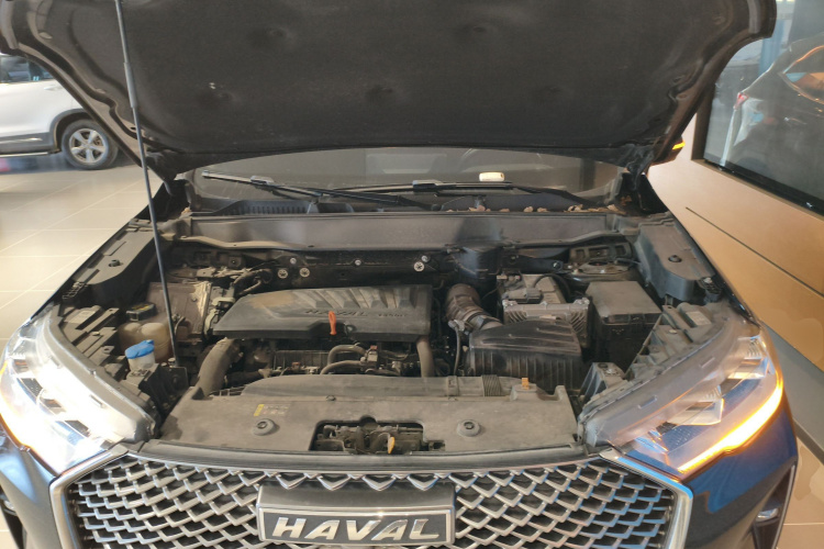 Haval H6 2022 car image #20