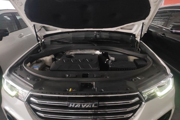 Haval H7 2020 #20 Haval H7 2020 car image #20