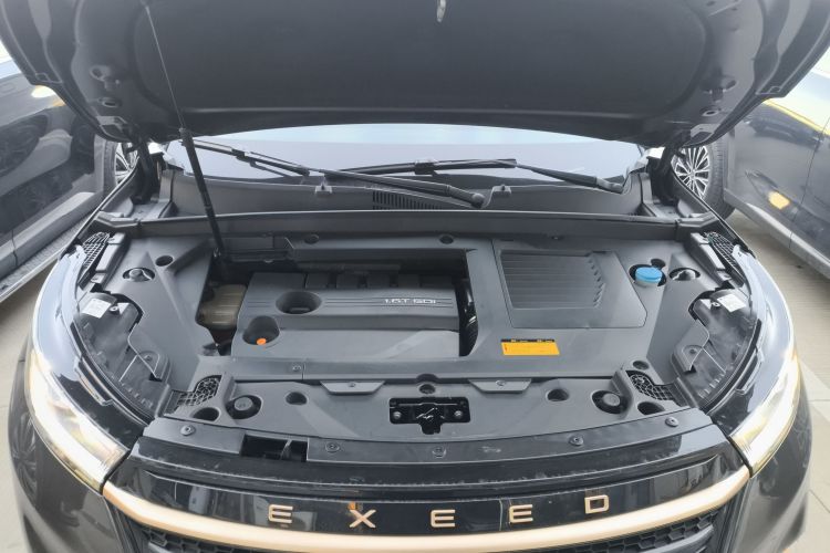 Exceed TX 2023 #20 Exceed TX 2023 car image #20