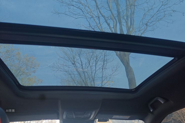 Haval H6S 2022 car image #20