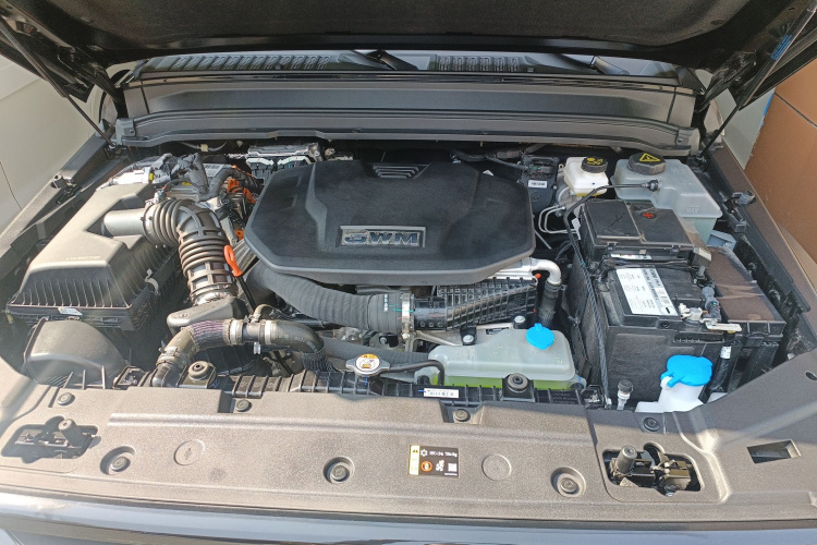 Tank 300 New Energy 2025 imagem de carro #20