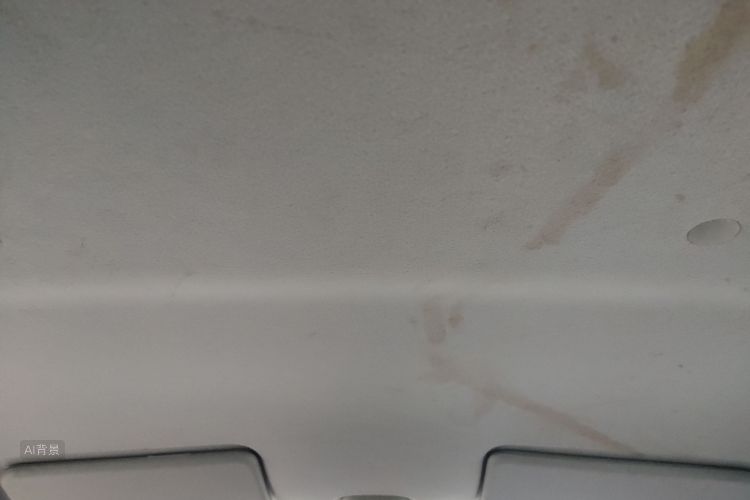 Suzuki Alto 2016 car image #20