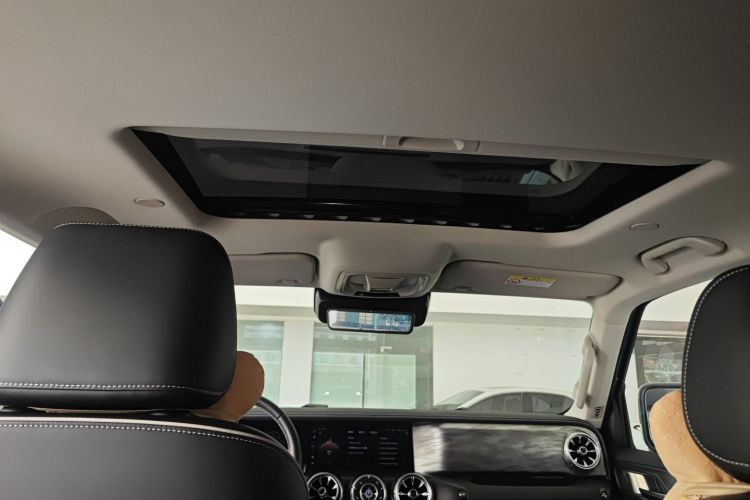 Tank 300 New Energy 2024 car image #20