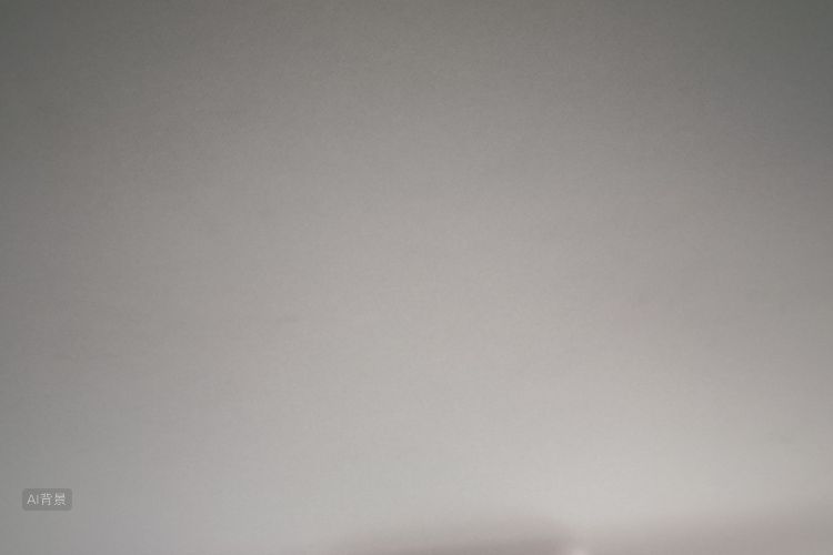 Polo 2016 汽车图片 #20