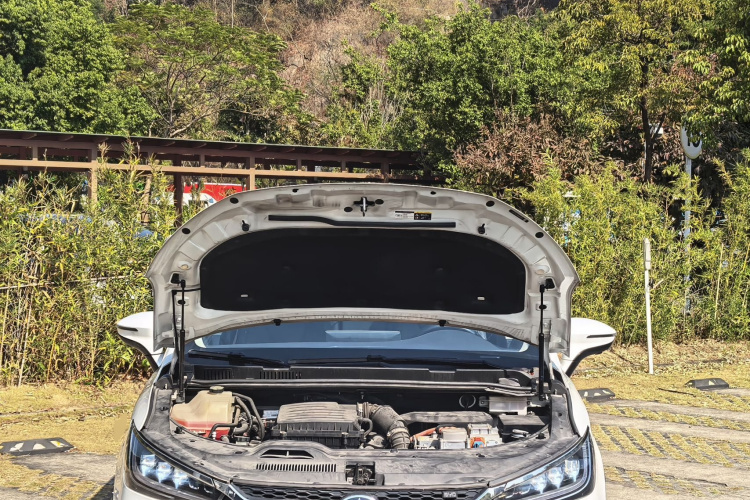 BYD 2019 #20 BYD 2019 car image #20