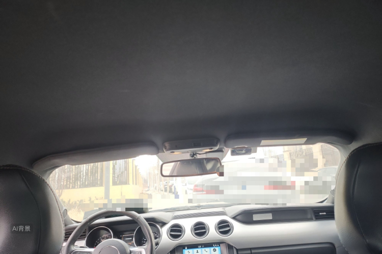 Ford Mustang 2017 car image #20