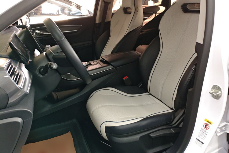 BYD Destroyer 05 2024 car image #20
