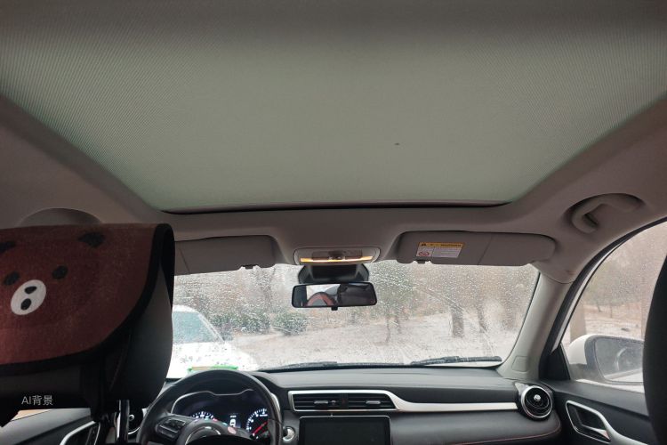 MG ZS 2020 imagem de carro #20