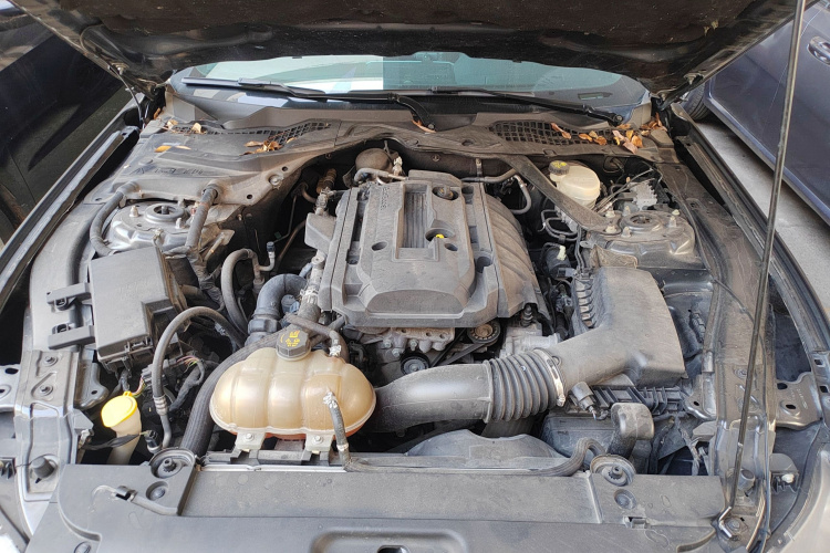 Ford Mustang 2016 #20 Ford Mustang 2016 car image #20