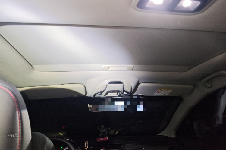 GEELY Binray 2019 imagen de coche #20