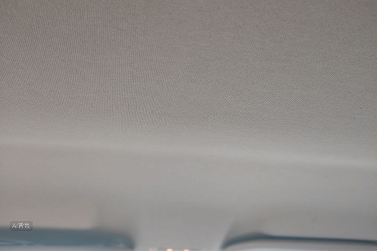 Citroen C-Elysée 2018 car image #20