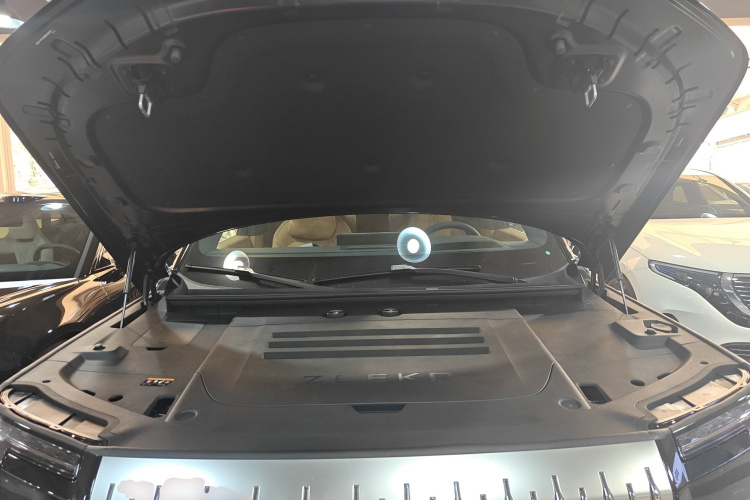 极氪 极氪9X 2025 汽车图片 #20