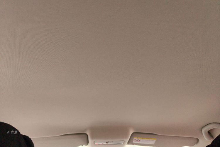 Polo 2016 immagine di auto #20
