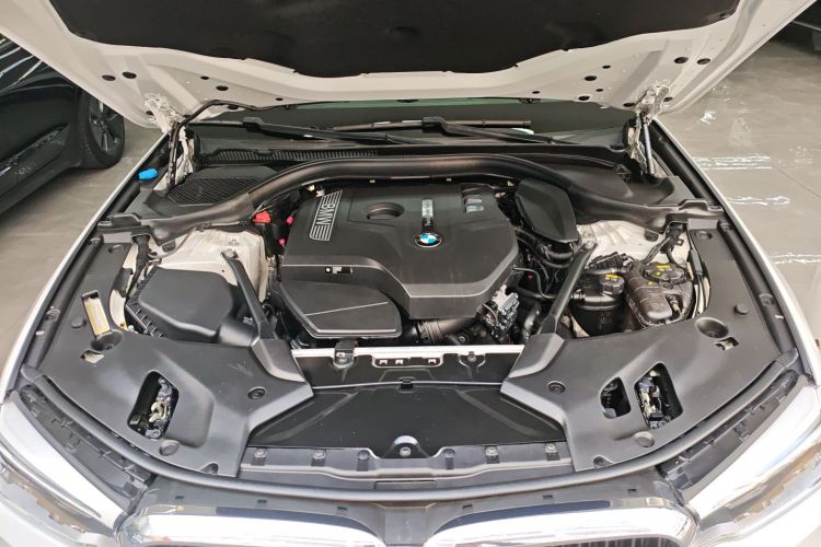 BMW 5 Series 2018 car image #20
