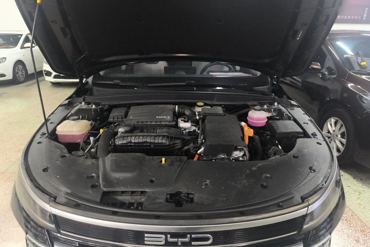 BYD Destroyer 05 2024 car image #20