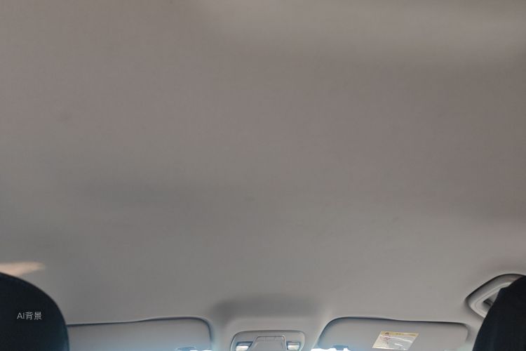 Livan Maple 60S 2022 изображение автомобиля #20