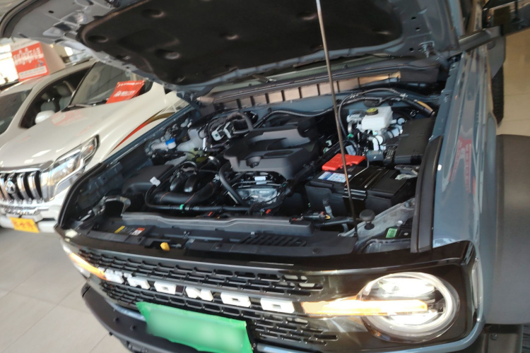 福特 福特烈马 2025 #20 福特 福特烈马 2025 汽车图片 #20