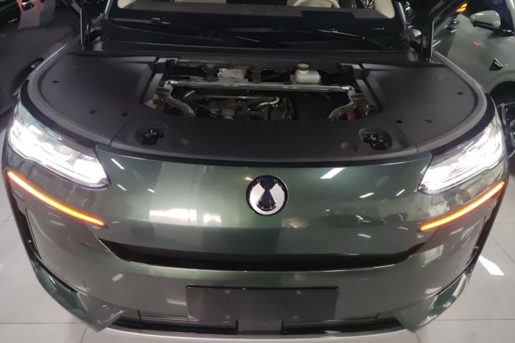 Denza N9 2025 #20 Denza N9 2025 car image #20