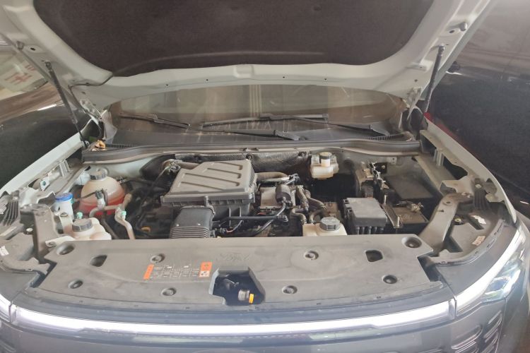 Ford Equator Sport New Energy 2024 car image #20