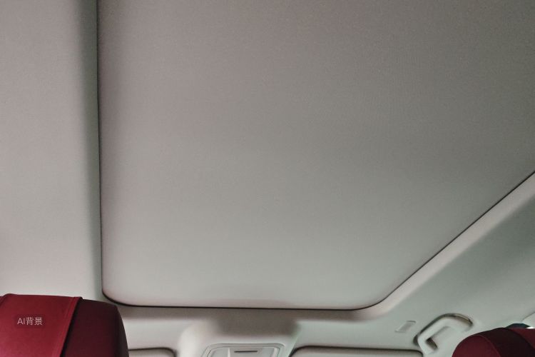 Tank 400 New Energy 2024 car image #20