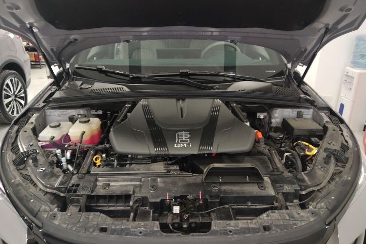 BYD Tang New Energy 2024 car image #20