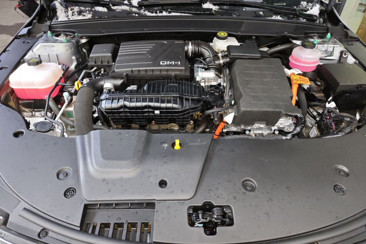 BYD Destroyer 05 2024 car image #20