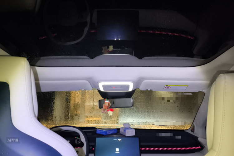 极氪 极氪X 2023 汽车图片 #20