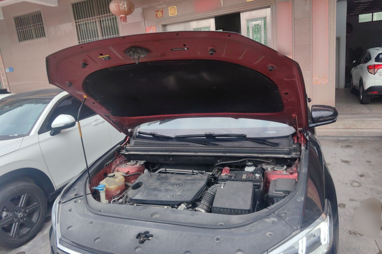 BYD Song Pro 2021 car image #20