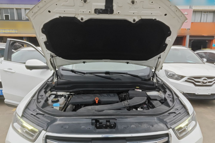 Haval H6 2019 car image #20