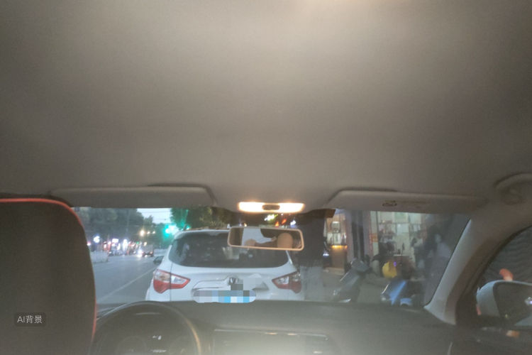 VS5 2019 car image #20