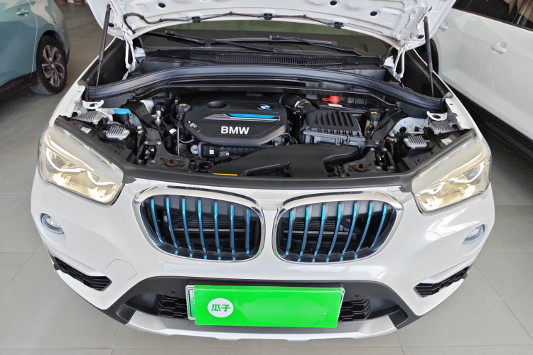 BMW X1 New Energy 2020 car image #20