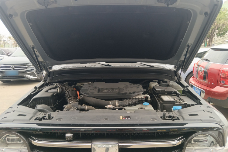 Tank 300 New Energy 2024 #20 Tank 300 New Energy 2024 car image #20