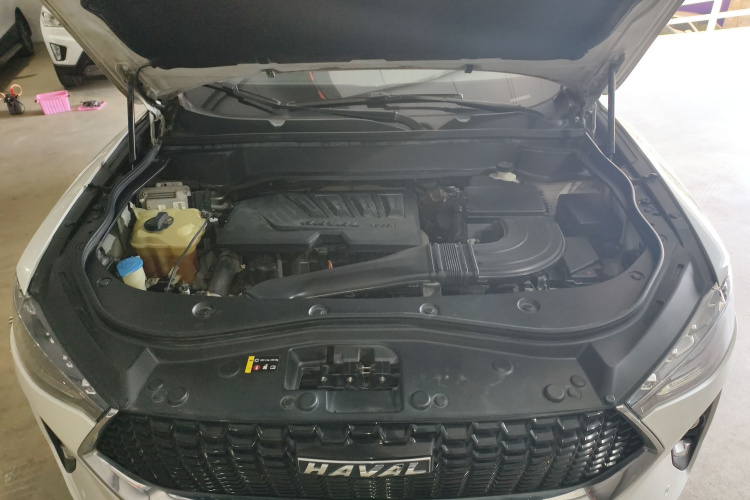 Haval F7 2019 #20 Haval F7 2019 car image #20