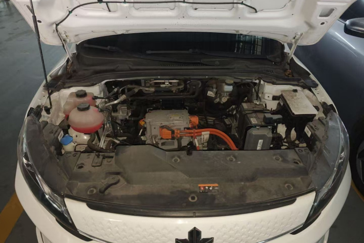 Livan Maple 60S 2024 imagen de coche #20