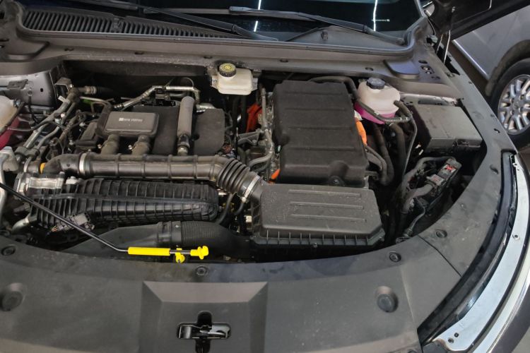 BYD Qin L 2024 car image #20