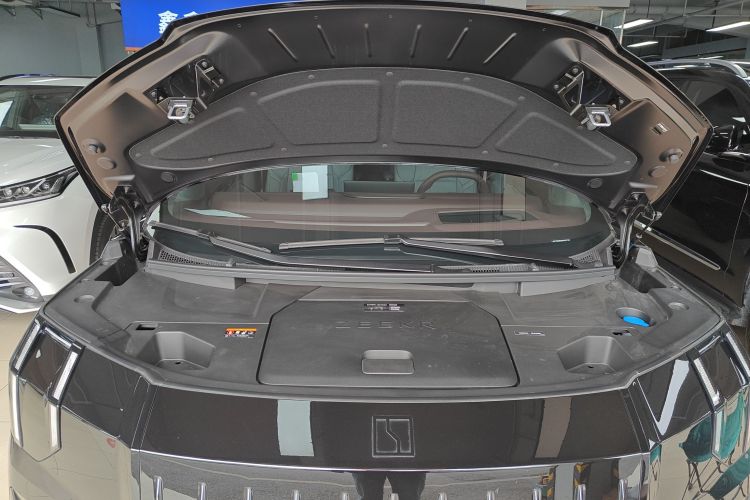 Zeekr 009 2025 car image #20