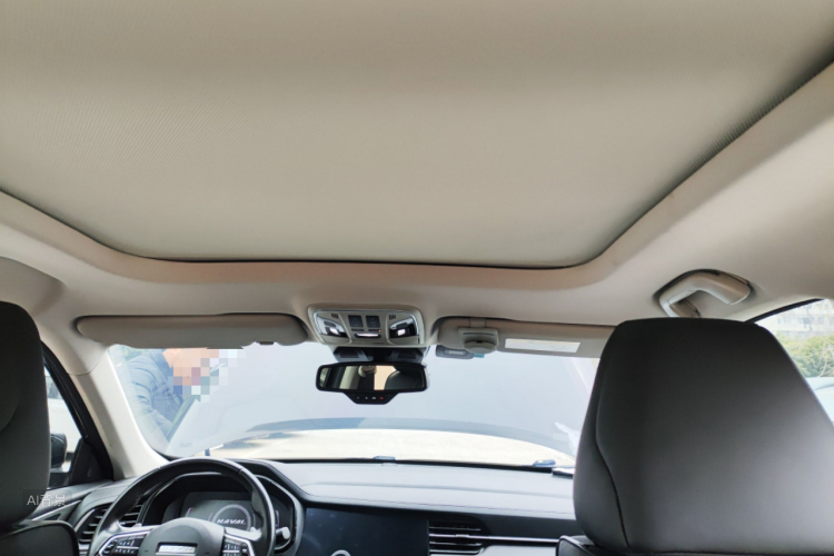 Haval F7 2018 car image #20