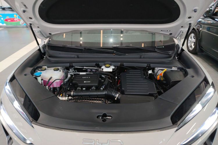 BYD Sea Lion 06 New Energy 2025 car image #20