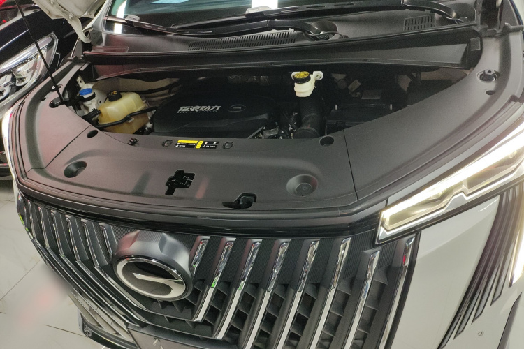 GAC Trumpchi M8 2024 car image #20