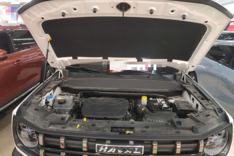 Haval Dargo 2022 صورة سيارة #20