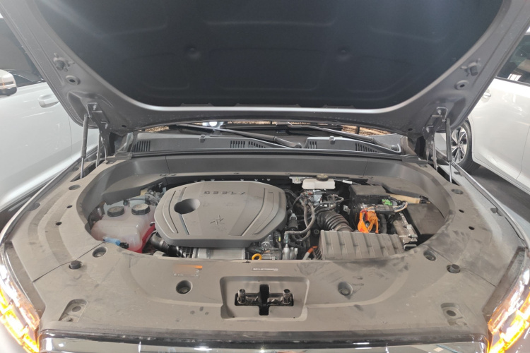 GEELY 2025 immagine di auto #20