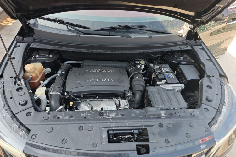 T5 2019 #20 T5 2019 car image #20