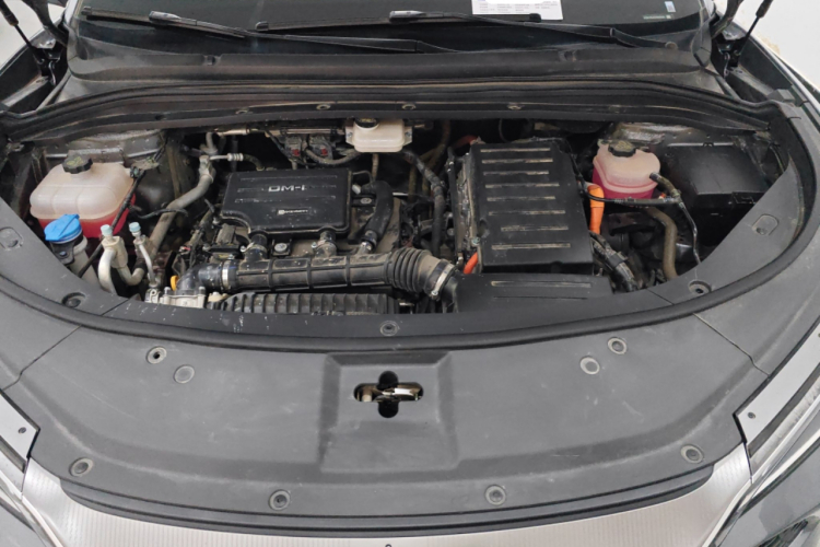 BYD SongL DM-i 2025 car image #20