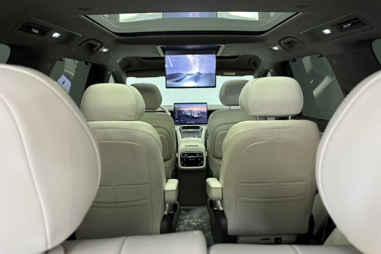 Denza 2025 car image #20