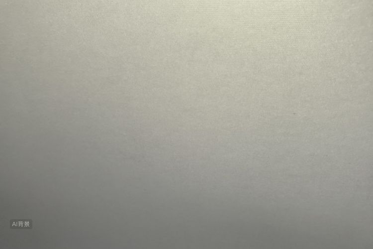 Skoda Rapid 2015 imagem de carro #20