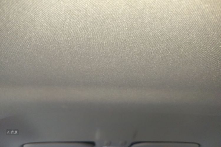 Citroen C3-XR 2023 car image #20