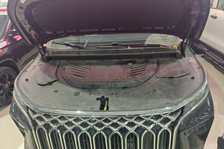 Forthing V9 2024 #20 Forthing V9 2024 immagine di auto #20