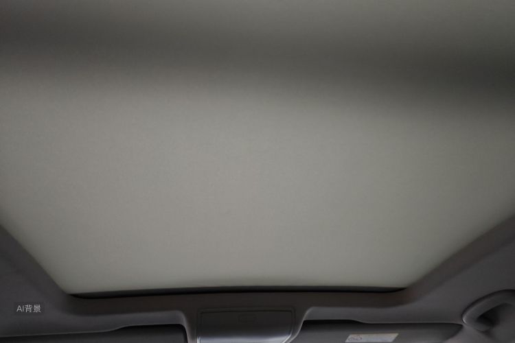 Volkswagen Tiguan L New Energy 2023 car image #20